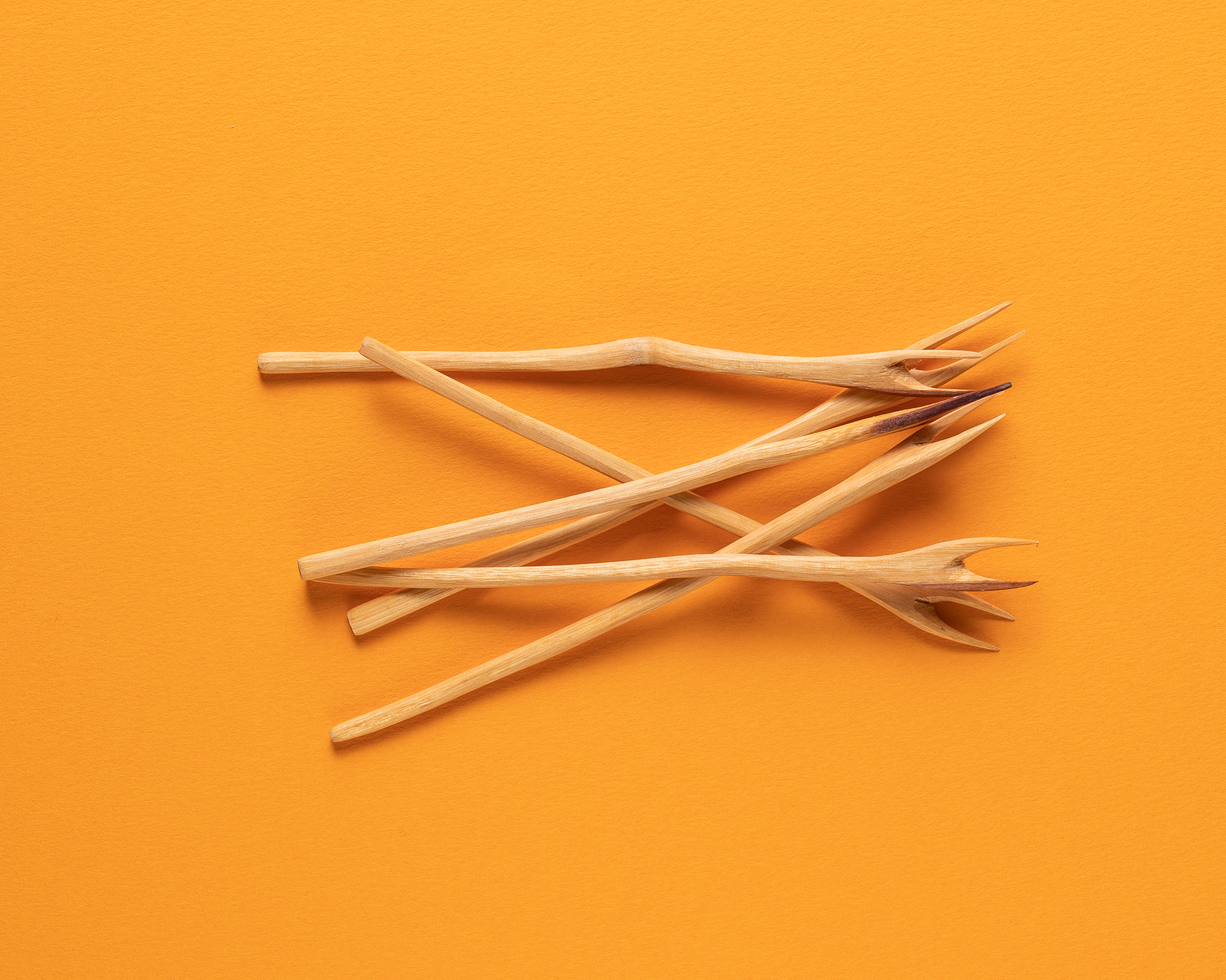 Wooden forks on yellow by Jose Barrios