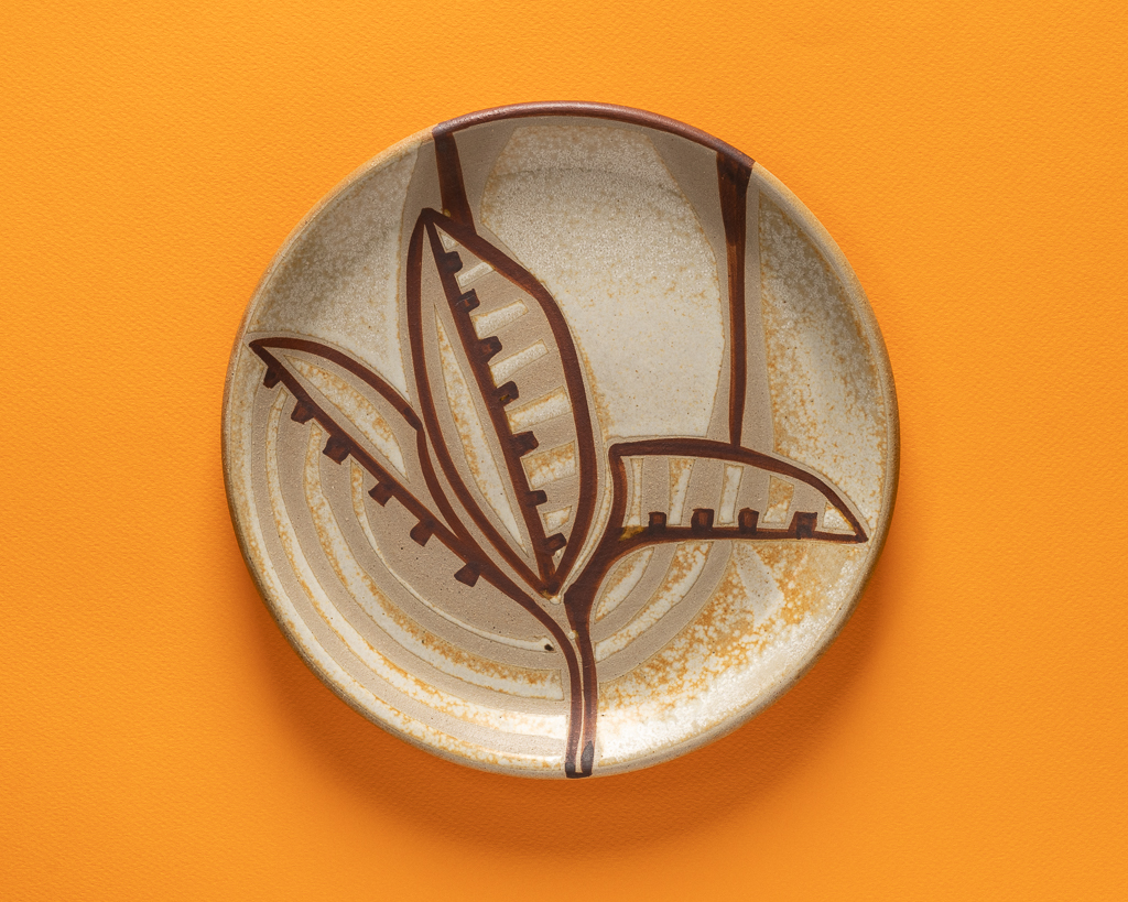 Leaves plate on mustard by Jose Barrios